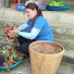 t9i2Z04DFS8-channel-avatar-Dai An Farm