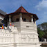ZJTyszZjRqY-channel-avatar-දහම් සිතුවිලි 
