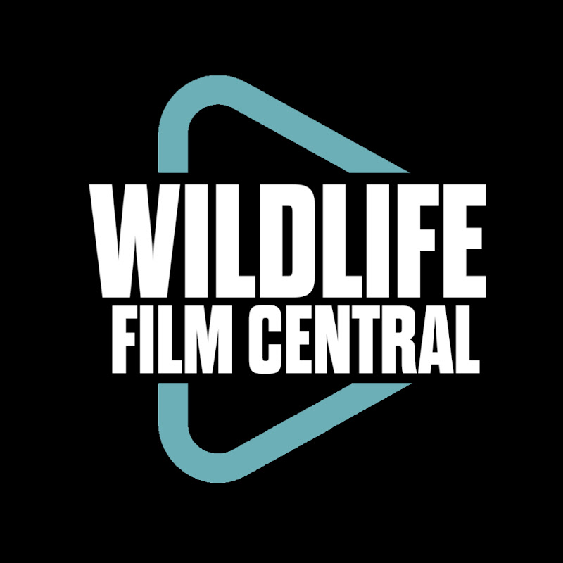 Wildlife Film Central