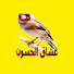 JCIvL0ux528-channel-avatar-عشاق الحسون