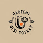 Qadeemi Desi Totkay logo
