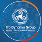 Pro Dynamis Group logo