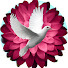 3CSxSNQULOQ-channel-avatar-Alma en Cristo