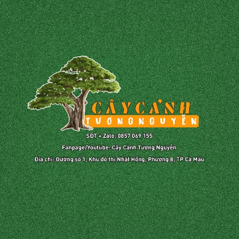 Cây Cảnh Tương Nguyễn