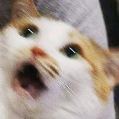 ĐÔNG SCIENCE  