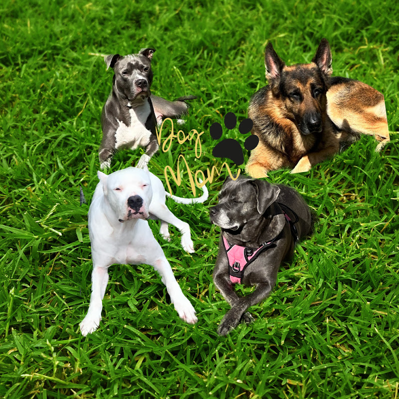 GambitDash_Dogfam
