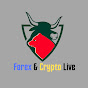 Forex & Crypto Live