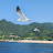 @김민석-o7x4r