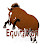 WebEquitation - Horse riding