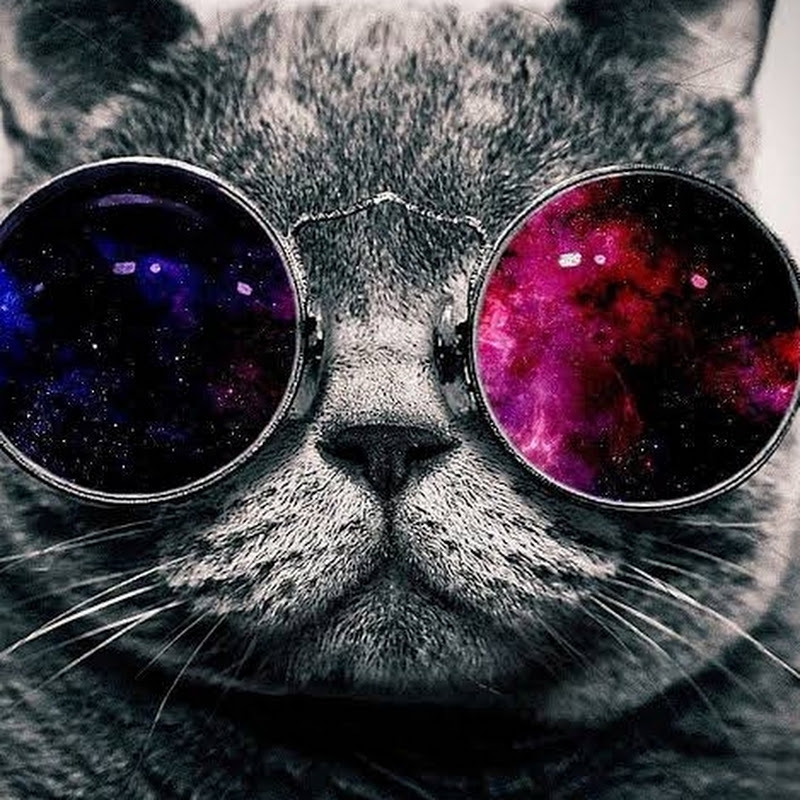 Ozan nacar