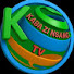 lT6u8iunmCc-channel-avatar-Kaba Zi Nsango TV