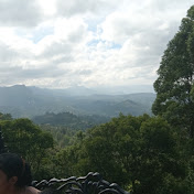 nimsaradilsad