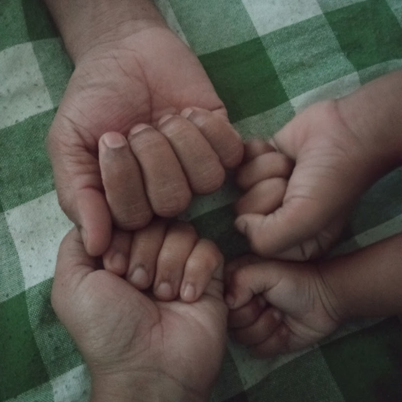 Fairy Family