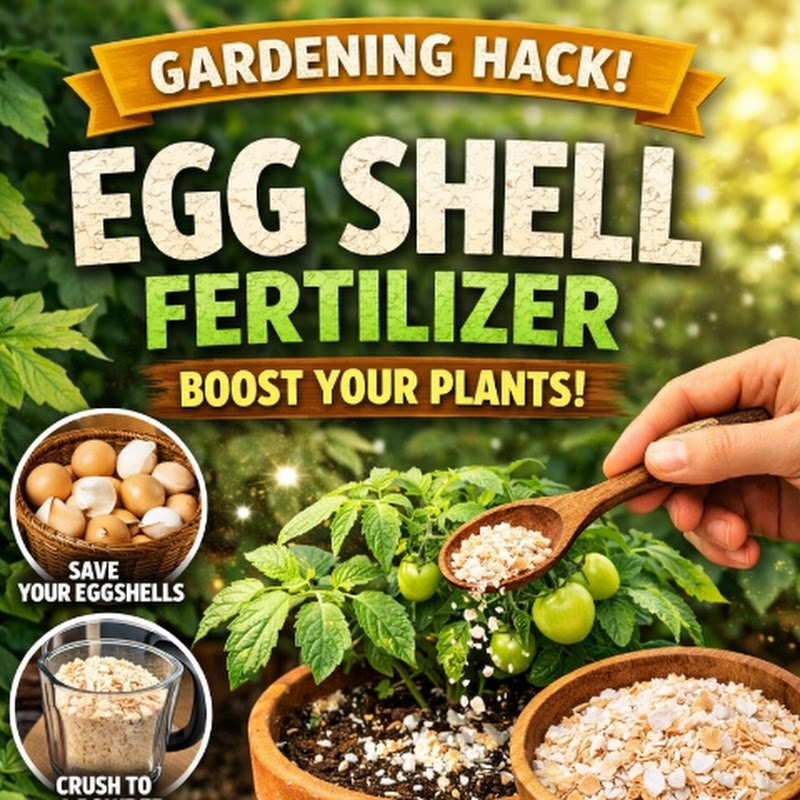 Gardening Hacks