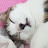 @라라이크