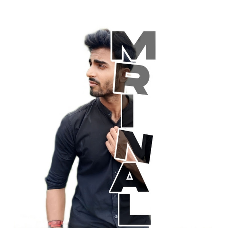 Stylo Mrinal