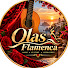 lwDC2P4w2vE-channel-avatar-Olas Flamenca