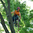 KWIWwEWf2dI-channel-avatar-Easy Eddy's Trees