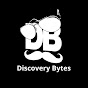 Discovery Bytes logo