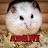 @Adamloveshamsters