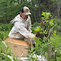 Pc23AtO5BAE-channel-avatar-The Honey Gatherer