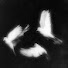 LrENt82CRac-channel-avatar-☆Rotting_away☆