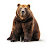 NGL7RJcodeU-channel-avatar-Grizli60rus