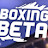 Boxing Beta Highlights