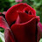 @num_sero_astro_dzen