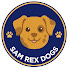 OHusHQSzBfY-channel-avatar-sam rex dogs