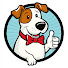jBbMiPB0AYk-channel-avatar-The Daily Bark