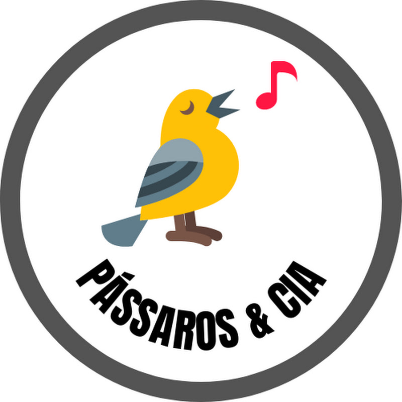 Pássaros e Cia