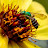 @spyder000069's avatar