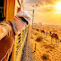 rYdfkRNH0jU-channel-avatar-RailMania