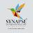 Synapse International Art