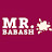 Mr. BABASH