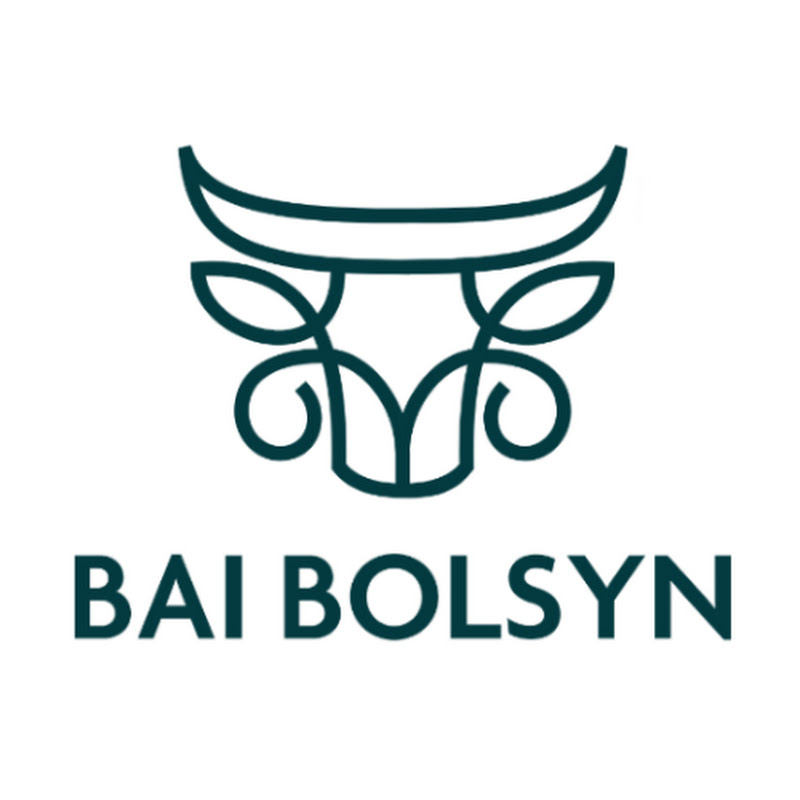 BaiBolsyn Logo