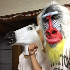 万・怒璃瑠  マンドリル
