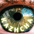 Kazhcha Media