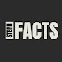 Stern Facts logo