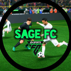 The FIFA Sage HD Avatar
