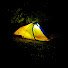 P5VKqh74f38-channel-avatar-Viajar es Vibrar