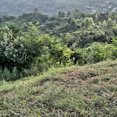 PTI KHAN