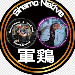 Shamo Native 軍鶏 channel logo