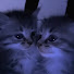 Bk06TRVF4U0-channel-avatar-Lovely Space