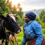 The African Villager