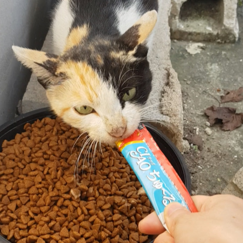 달빛아래