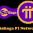 Salinga pi Network 