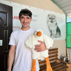 VetDoc