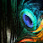 @NorthMan014 Avatar